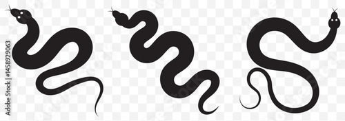Black Silhouettes of  Three Snakes in Different Postures on Transparent Background. EPS 10.