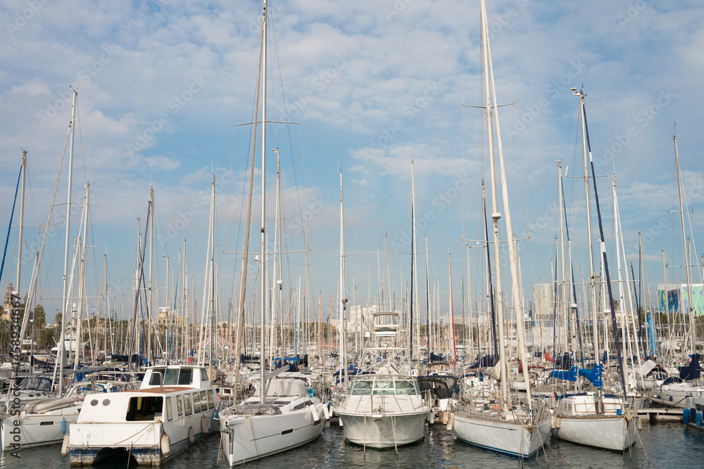 Scenic marina with numerous sailing boats and masts under a clear blue sky
