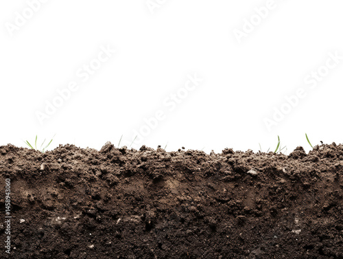 Soil Cross Section: Revealing the earth's intricate layers, this image captures a cross-section of rich, fertile soil with emerging plant life.