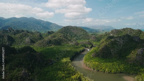 Winding river flowing through verdant mangrove landscape, green hills framing scenic waterway in langkawi, malaysia under overcast skies
