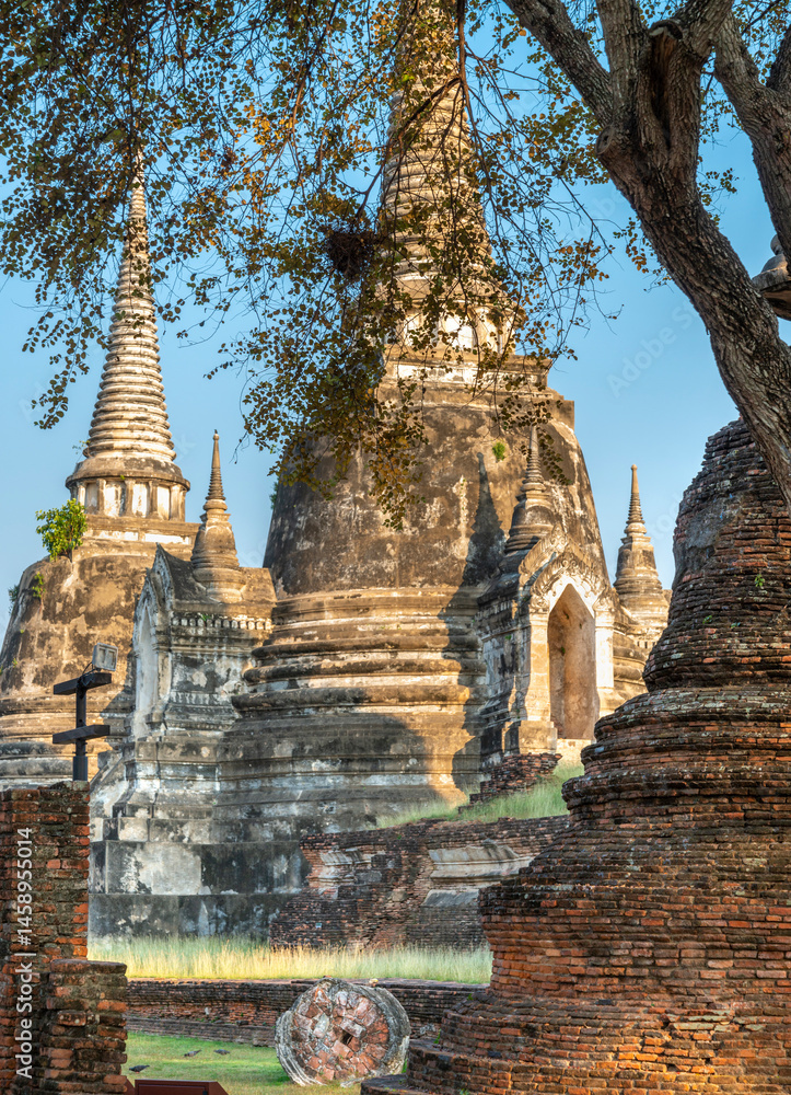 Fototapeta premium Ayutthaya Temple ruins within the ancient Royal Palace complex,Thailand.
