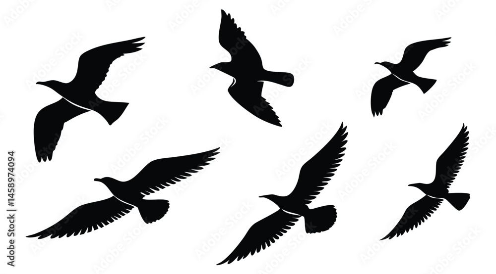 Obraz premium Flying Bird Silhouettes Collection – Vector Set of Birds in Flight on White Background