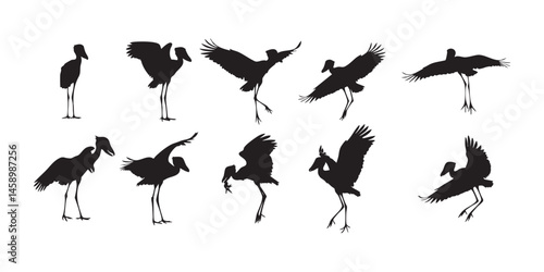 Stork Silhouettes in Walking, Standing & Flying Poses � Elegant Minimal Style Vector Art photo