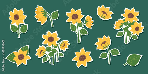 Set of sunflowers stickers cliparts isolated on green. Nature, gardening, agriculture, spring, sunflower oil concept. Vector banner in flat style.