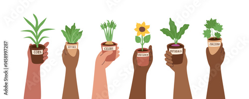 Set of human hands holding small pots with vegetable seedlings isolated on white. Gardening and farming concept. Healthy food and home garden concept. Vector hand drawn template.