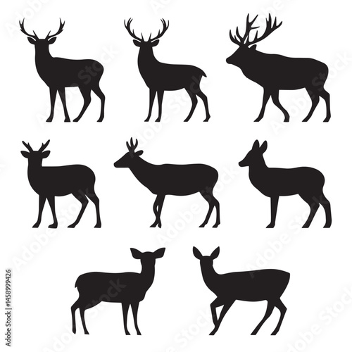 Vector silhouette set of deer on white background
