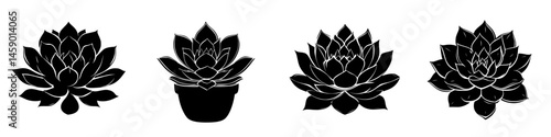 Stylized flat black icons of various succulent plants showcasing diverse shapes and details for design use