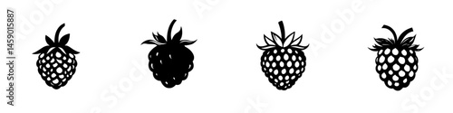 Flat black icons of raspberries arranged in a row depicting various designs of the fruit with different stylizations