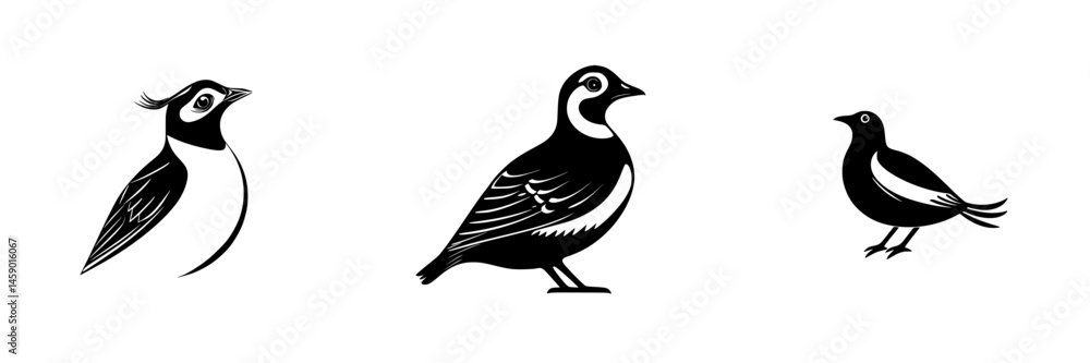 Fototapeta premium Stylized black icon of three distinct birds showing unique features and characteristics in a flat design