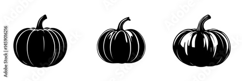 Three flat black pumpkins arranged in a row on a white background illustrating autumn harvest themes