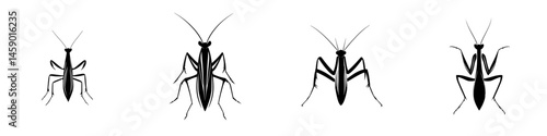 Various black icons depicting different stages and styles of mantis insects in a flat design