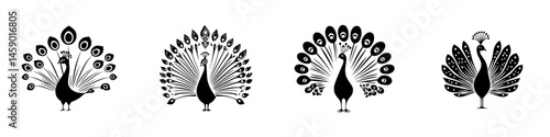 Unique collection of flat black peacock icons showcasing different feather patterns and styles for creative projects