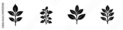 Flat black leaf icon collection showcasing various plant designs for use in digital art and graphic projects