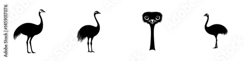 Different silhouettes of flightless birds showcasing the unique appearances of emus and ostriches in a minimalist design