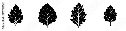 Collection of flat black leaf icons representing different plant species in a minimalist design for graphic projects
