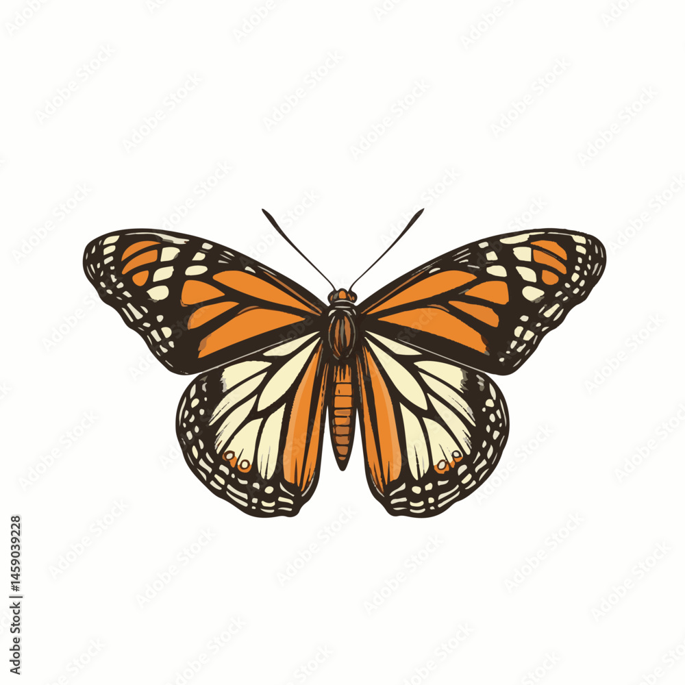 Obraz premium Hand Drawn Illustration Of A Monarch Butterfly In Vibrant Orange And Black Colors