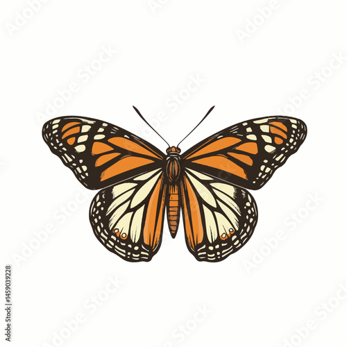 Hand Drawn Illustration Of A Monarch Butterfly In Vibrant Orange And Black Colors