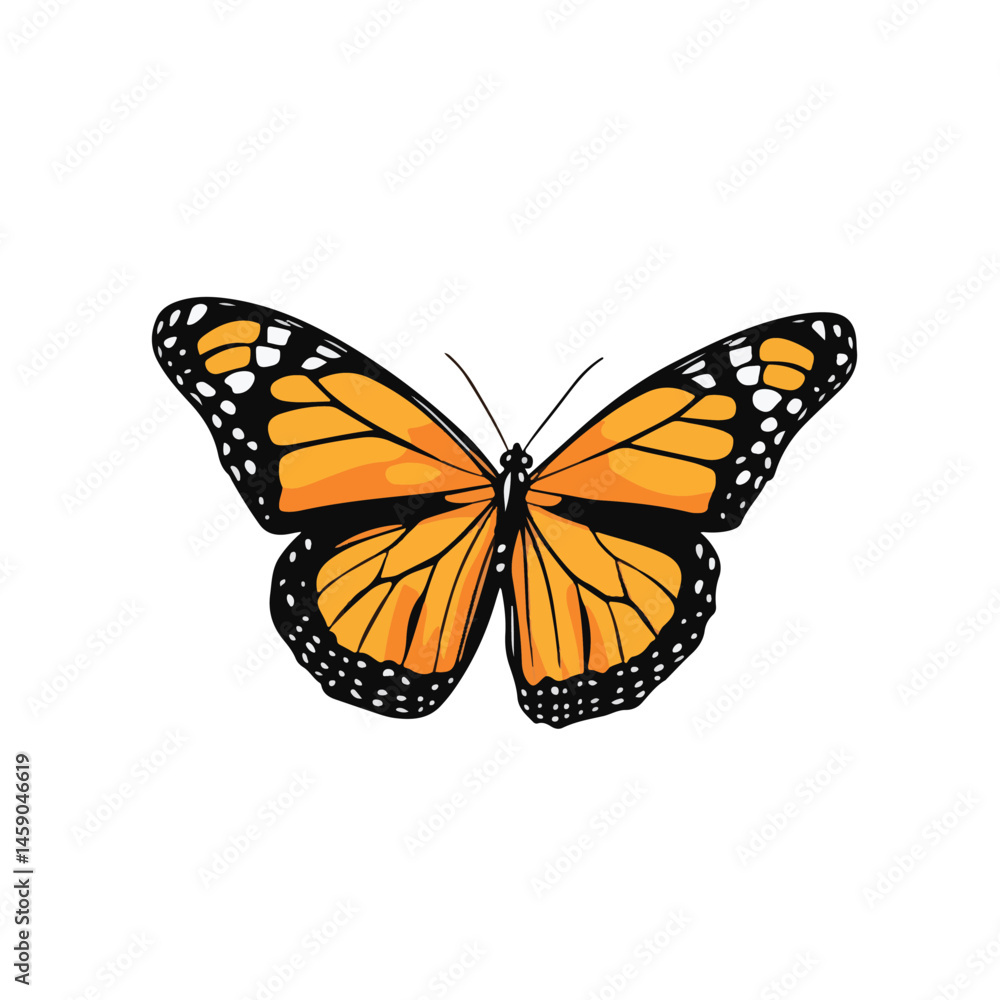 Obraz premium Monarch Butterfly Detailed Vector Illustration On White Background For Design Projects