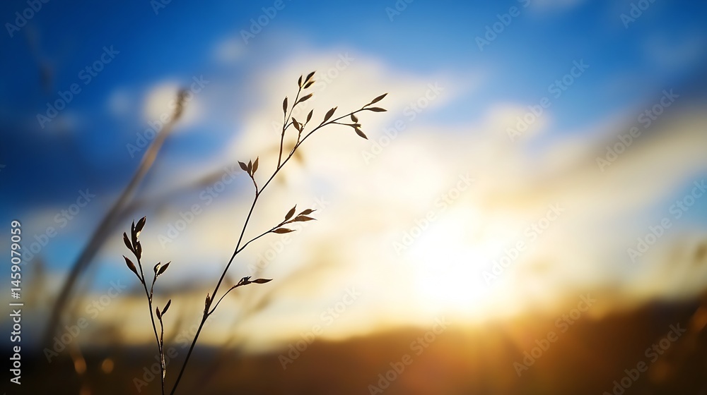 Obraz premium Silhouette of a delicate grass stem against a vibrant sunset, showcasing the warm golden hues and soft blue sky. The image evokes feelings of peace and tranquility. : Generative AI