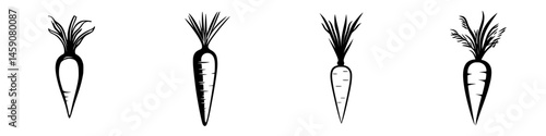 Organic flat black icon illustrations of various carrot designs suitable for vegetable-themed projects or food-related graphics