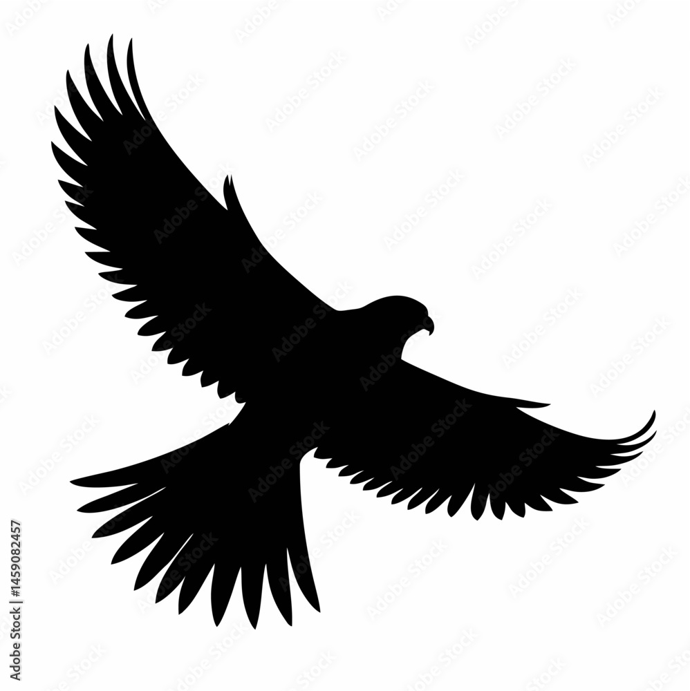 A vector flying falcon. A vector flying falcon.