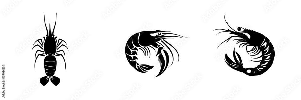 Artistic illustrations of three distinct shrimp species displayed on a white background Artistic illustrations of three distinct shrimp species displayed on a white background