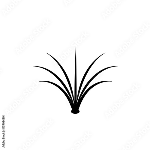 Descriptive black silhouette of a plant with long blades against a white background