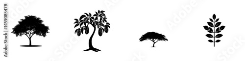 Silhouettes of different tree species against a white background displaying their unique shapes and structures