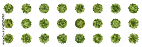 Watercolor Tree Tops for Landscape and Park Design Collection. Eco-Friendly Aerial Elements for Urban and Botanical Planning. Isolated Vector Illustration