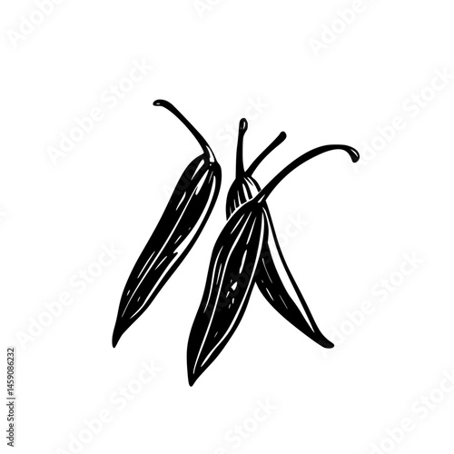 Illustration of fresh green chili peppers arranged on a plain background showcasing their long, slender shape