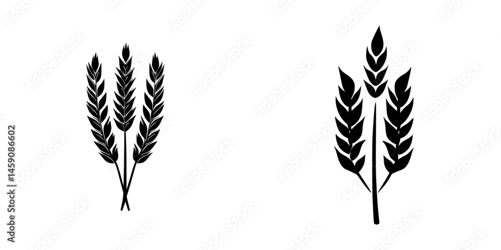 Grain stalks displayed in a minimalist style highlighting agricultural themes and nature's bounty Grain stalks displayed in a minimalist style highlighting agricultural themes and nature's bounty