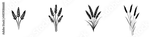 Stylized illustrations of wheat and grass in various arrangements captured in a minimalist design