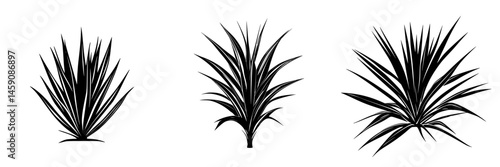 Varieties of spiky plants displayed together in a minimalist design with black and white contrast