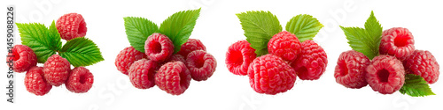 Fresh ripe red raspberries with green leaves.