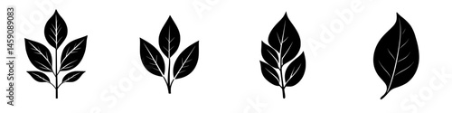 Flat black leaf icons representing various plant shapes and styles for design purposes in a minimalistic aesthetic