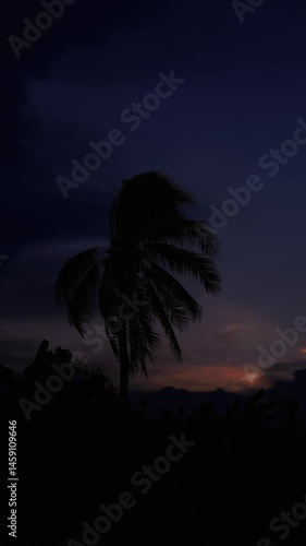 Silhouette of a palm tree against a dramatic sunset sky