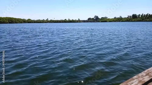 Beautiful Ocean Waves Gently Rolling on the Shore