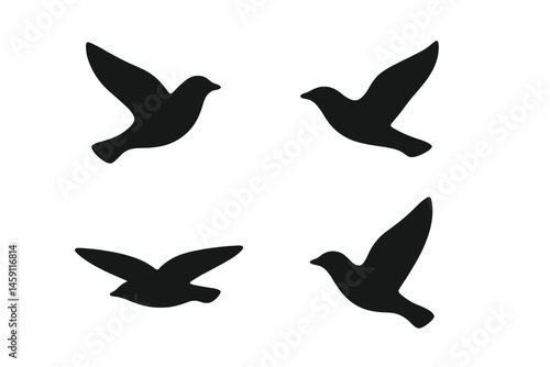 Vector illustration of four stylized birds in flight showcasing different wing positions and movements