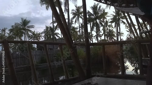 Palm Tree with Ocean View at Exotic Island Resort