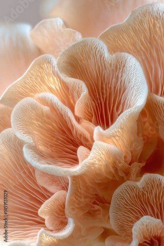 Close-up of delicate, peach-colored mushroom gills with intricate, wavy patterns and soft textures.