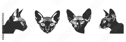 Sphynx Cat Silhouette Set. Unique Hairless Cat Illustrations For Design Projects. Isolated Vector Illustration Collection