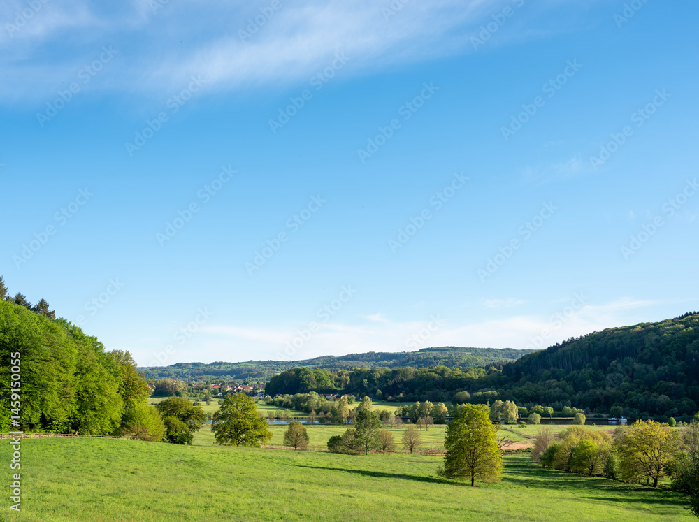 Obraz premium trees and wetlands of river Saar in national park saar-hunsrueck near metlach in germany