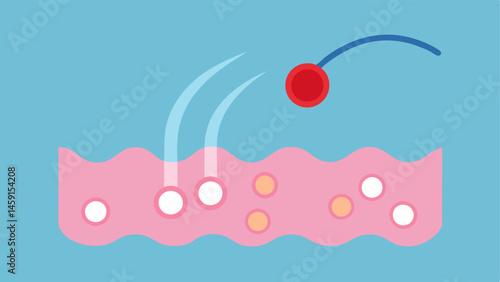 Hair Follicle Enlargement A depiction of enlarged hair follicles receiving exosome treatment emphasizing their role in improving follicle health and function.