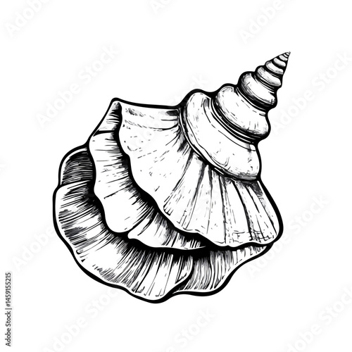 Black and white Seashell symbol, perfect for tattoos, vectors, logos, isolated on a white background.