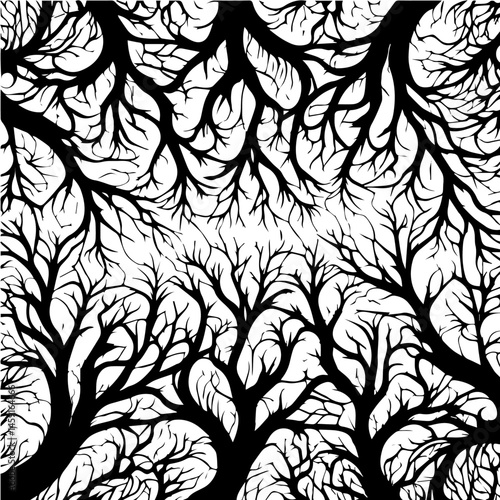 black and white trees canopy design