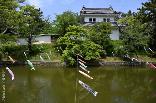 茨城県の土浦城（亀城）こどもの日の鯉のぼりの風景。