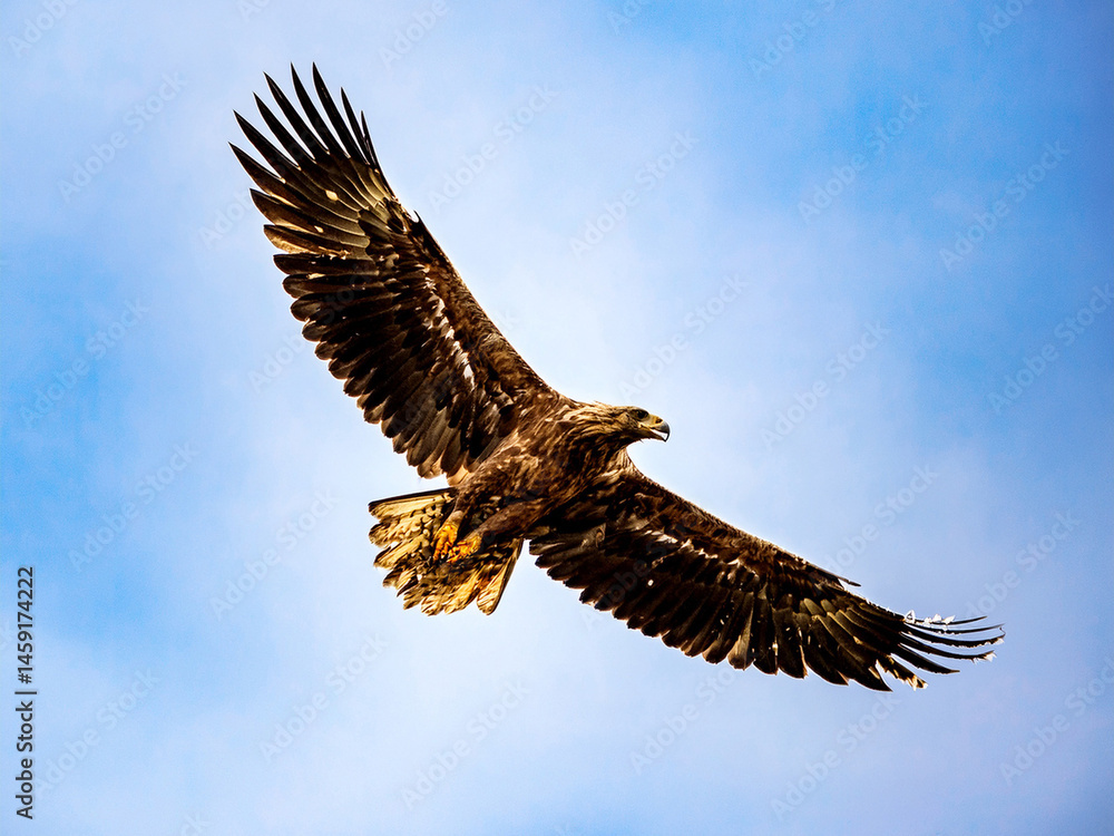 Fototapeta premium Generated Image