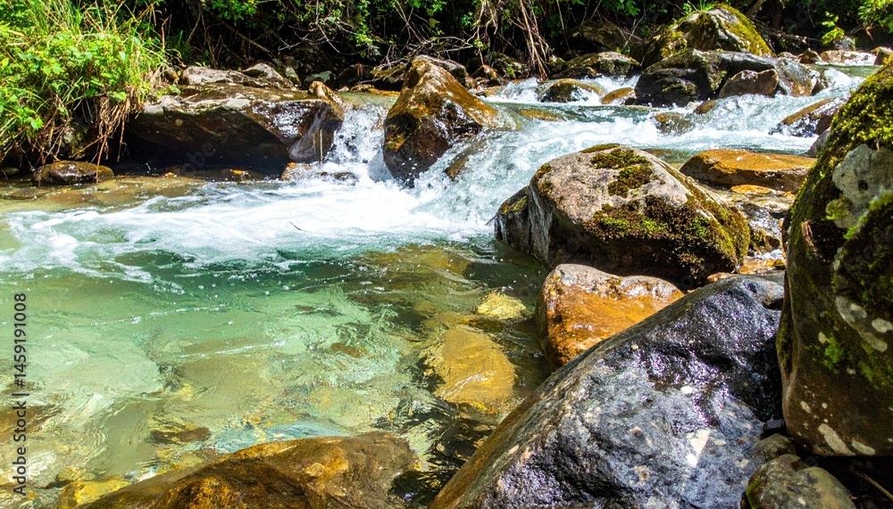 Naklejka premium Crystal Clear Mountain Stream Water Flowing Over Smooth Rocks in a Lush Forest