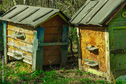 Abandoned traditional beehives near rural home. A symbolic image of global bee population