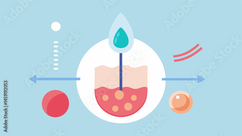 Healing Process Show exosomes stimulating skin repair in a area with collagen and elastin being regenerated rapidly around the injury.